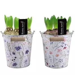 Arrangement Brilliant Bouquets