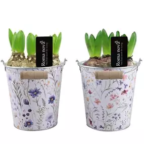 Arrangement Brilliant Bouquets