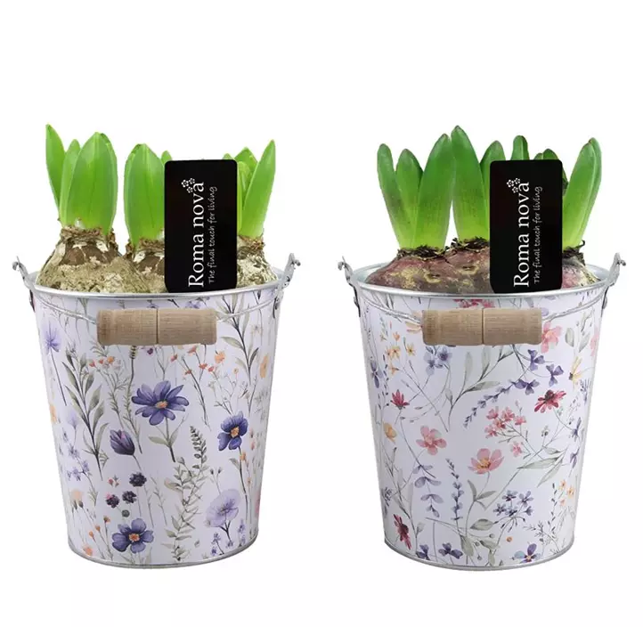 Arrangement Brilliant Bouquets