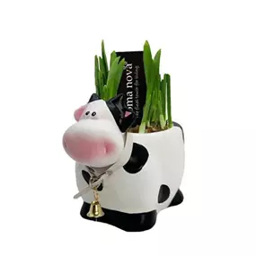 Arrangement Cow Medium