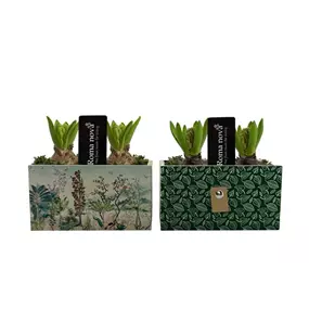 Arrangement Wild Woods