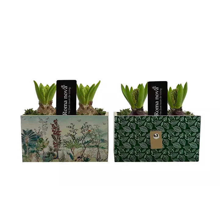 Arrangement Wild Woods