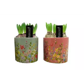 Arrangement Floral Finesse