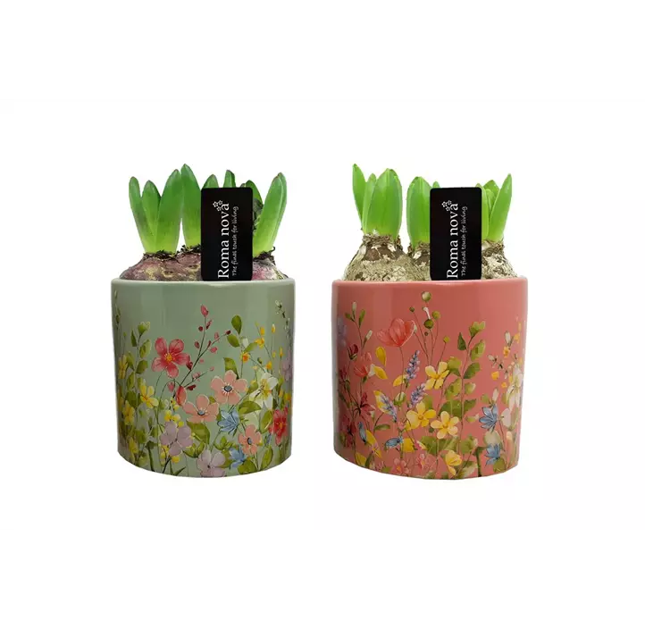 Arrangement Floral Finesse