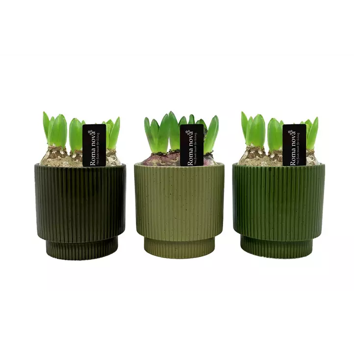 Arrangement Mossy Moods