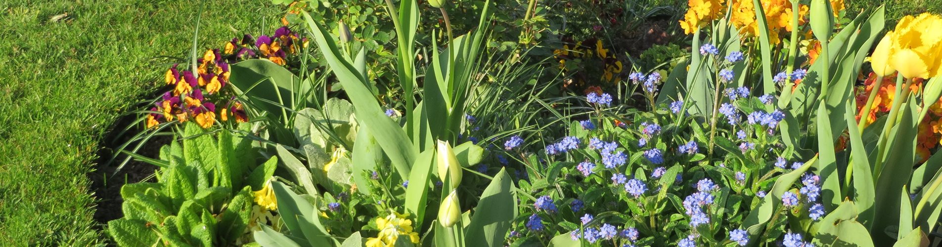 IMG_0826-0-8-4000-2250 IMG_0826-0-8-4000-2250