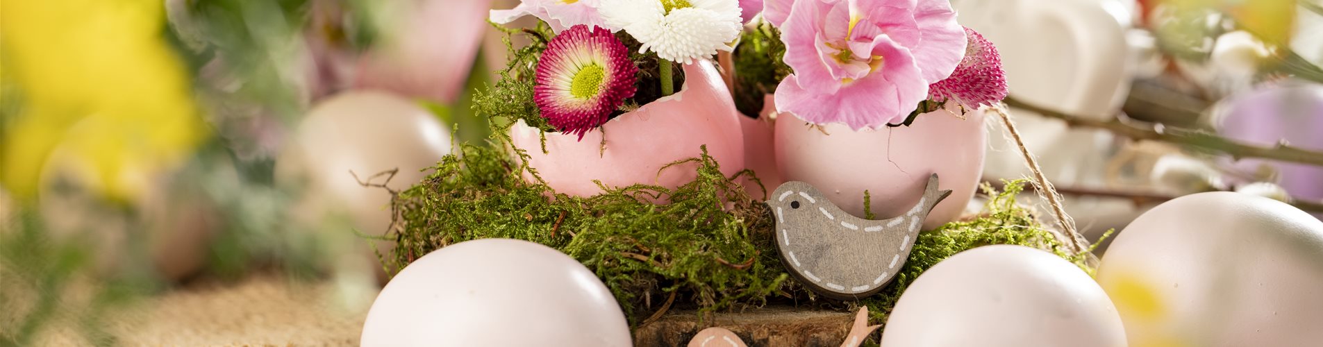 Osterambiente mit Bellis