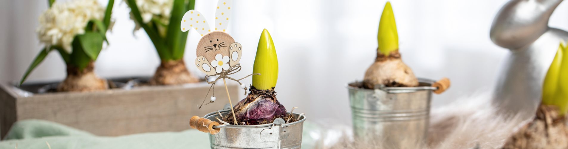 Header Blumenstecker Ostern