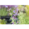 bellaflora Gartencenter GmbH