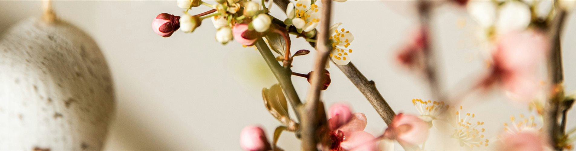 Header_Karussel Header_Karussel