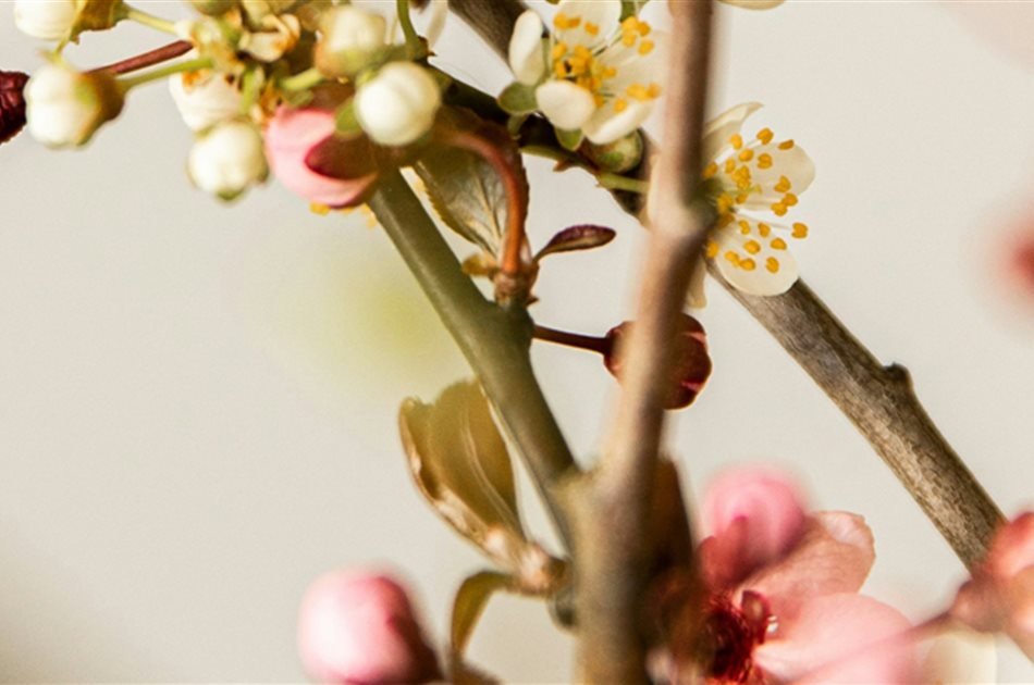 Feiern wir Ostern mit allen Sinnen!