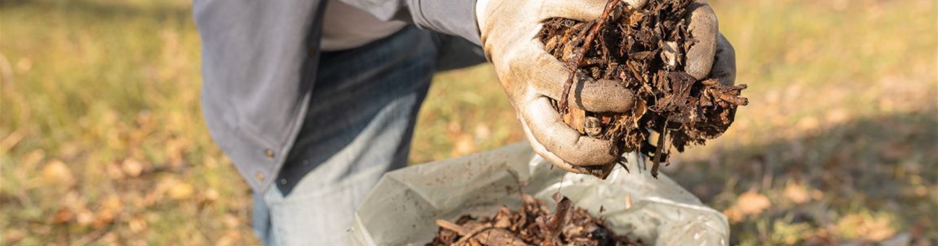 KW 11 + 12 Biologischer Garten Mulchen