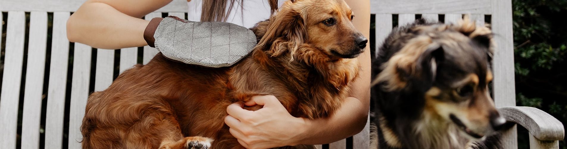 BellaFloraxstudiosoco-139-0-1284-2048-1152 BellaFloraxstudiosoco-139-0-1284-2048-1152