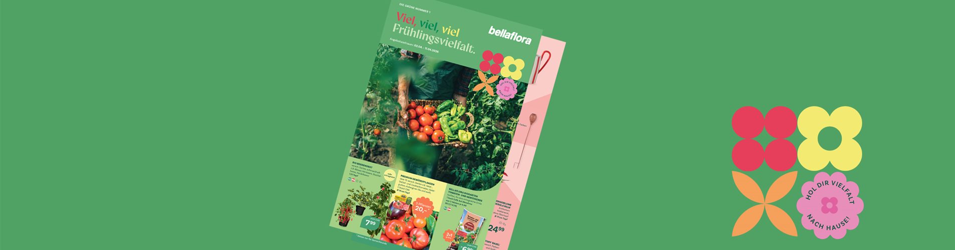 FB 03 -2026 Header-3 FB 03 -2026 Header-3