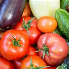 Premium Gemüsepflanzen