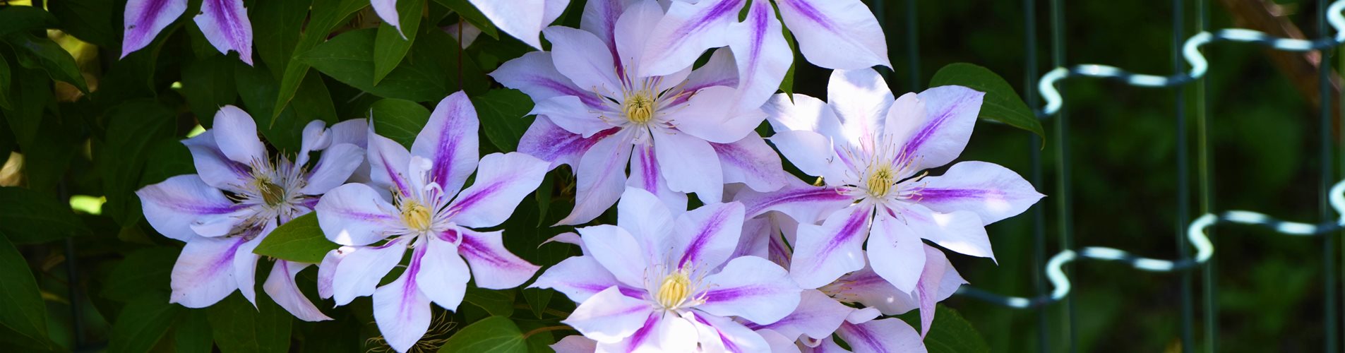 iStock-1401463267 bearbeitet