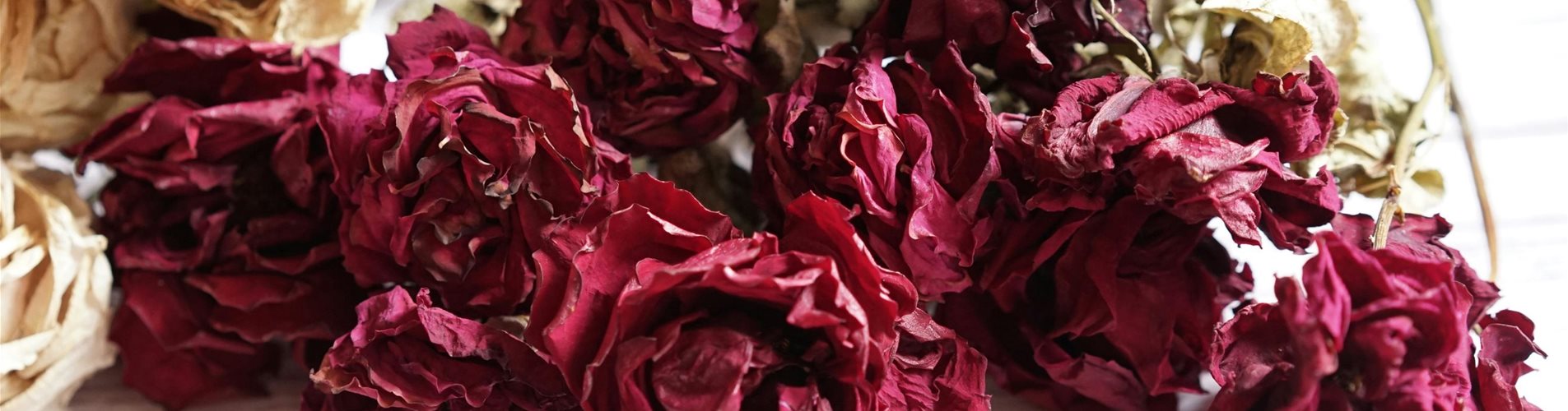 pexels-rie-rosa-7476750-0-410-3936-2214