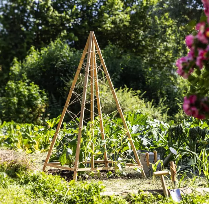 Holz-Rankhilfe Tipi