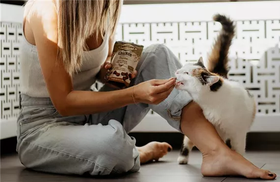 Katze isst Leckerli aus der Hand einer Frau