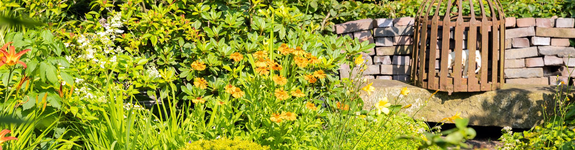 Gartenimpressionen Gartenimpressionen