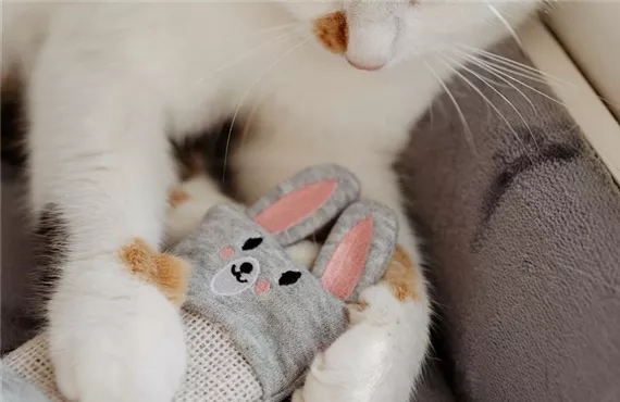 Katze kuschelt mit Spielzeug