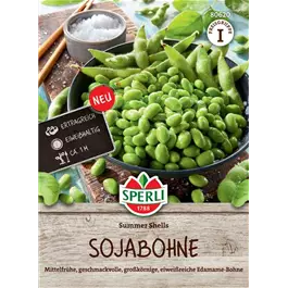 Sojabohne Summer Shells