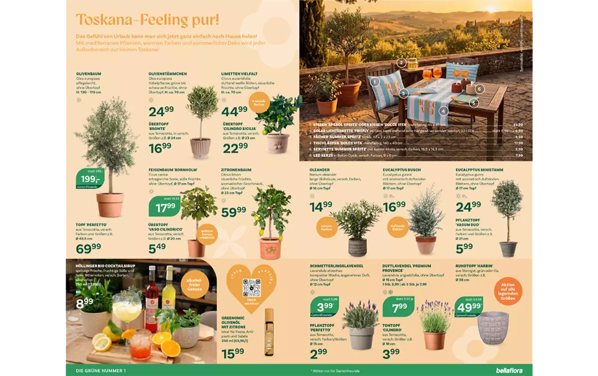 FB-04-26-Seite 4-5.png