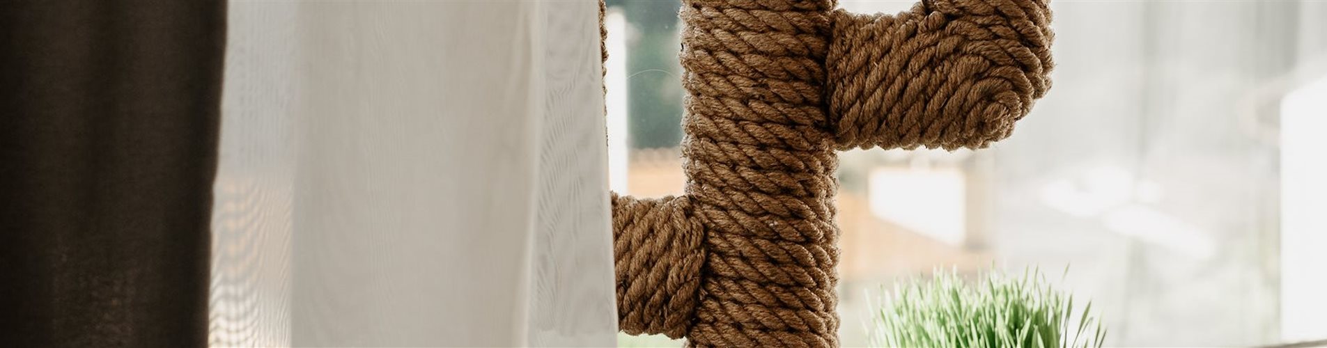 BellaFloraxstudiosoco-1-0-1291-2048-438