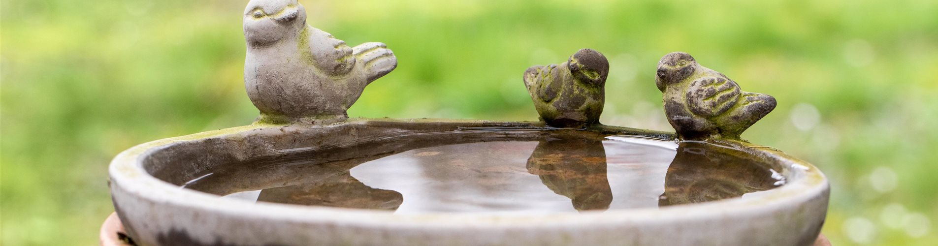 GS657438_Vogeltränke_-0-0-6720-4480