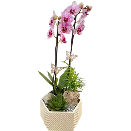 Arrangement 'Gemma'