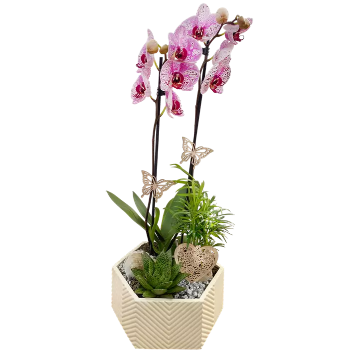 Arrangement 'Gemma'