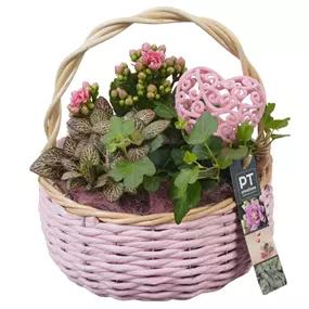 Arrangement Muttertag , rosa