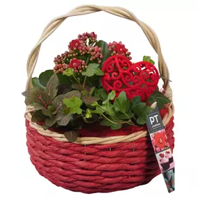 Arrangement Muttertag , rot