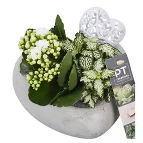 Arrangement Muttertag, weiß