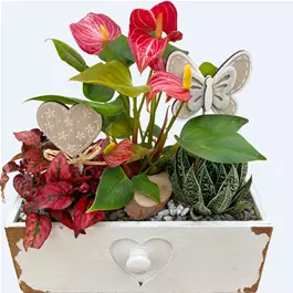 Arrangement 'Gerda'