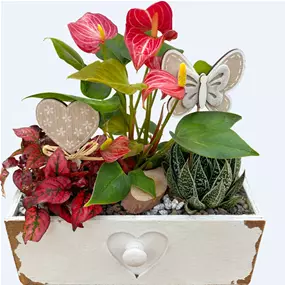 Arrangement 'Gerda'