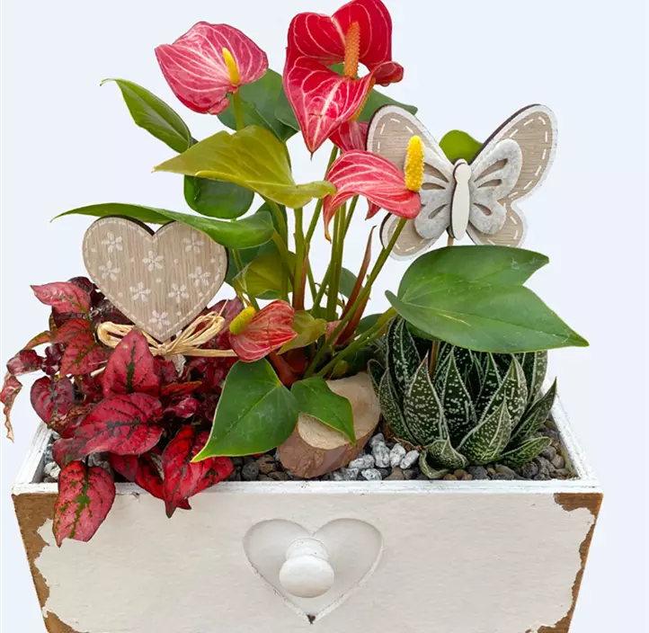 Arrangement 'Gerda'