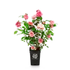 bellaflora Gartencenter GmbH