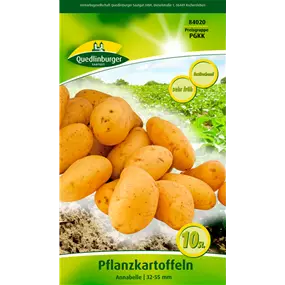 Pflanzkartoffel 'Annabelle' (festkochend)