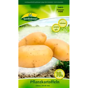 Pflanzkartoffel 'Cilena' (festkochend)
