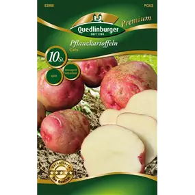 Pflanzkartoffel 'Cara' (vorwiegend festkochend)