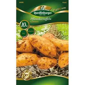 Pflanzkartoffel 'Goldmarie' (festkochend)