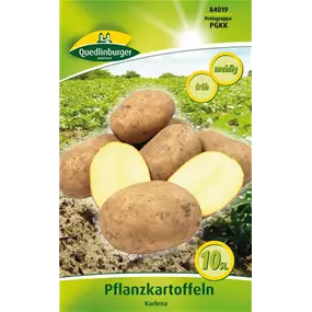 Pflanzkartoffel 'Karlena' (mehlig)