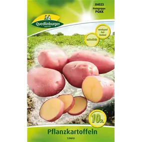 Pflanzkartoffel 'Laura' (vorwiegend festkochend)