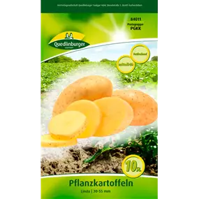 Pflanzkartoffel 'Linda' (festkochend)