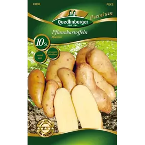 Pflanzkartoffel 'Mandel' (vorwiegend festkochend)