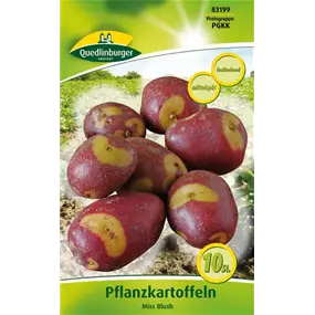 Pflanzkartoffel 'Miss Blush' (festkochend)