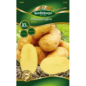 Pflanzkartoffel 'Salome' (festkochend)