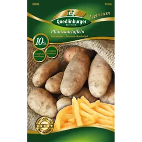 Pflanzkartoffel 'Spezial Innovator' (festkochend)