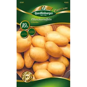 Pflanzkartoffel 'Spezial Colomba' (festkochend)